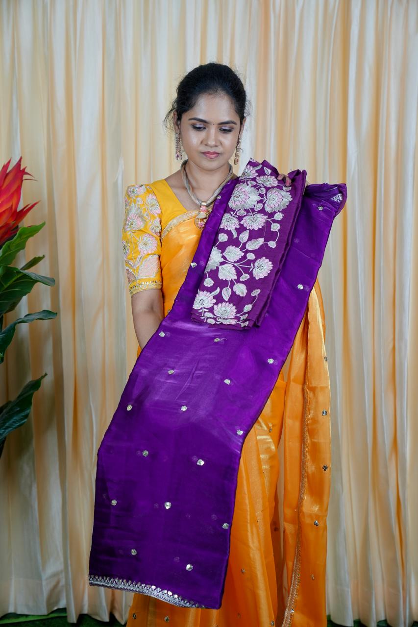 Jimmy Choo Saree with embroidery blouse 🥳