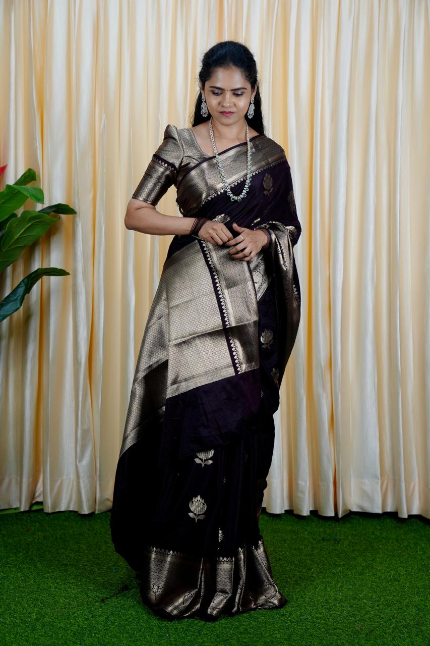 Premium warm silk sarees(deep choclate brown) no animal figure  🥳✅