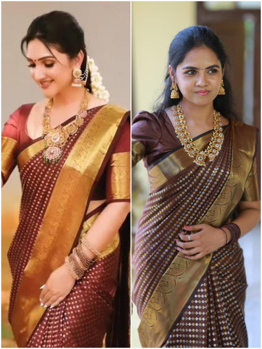 Sridevi inspired saree*(no animal figures) 🥳