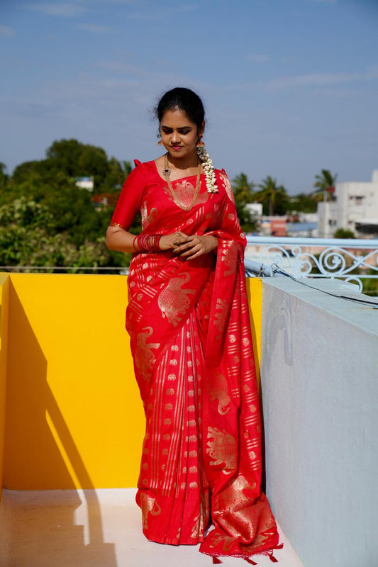 Premium soft silk saree sold❌
