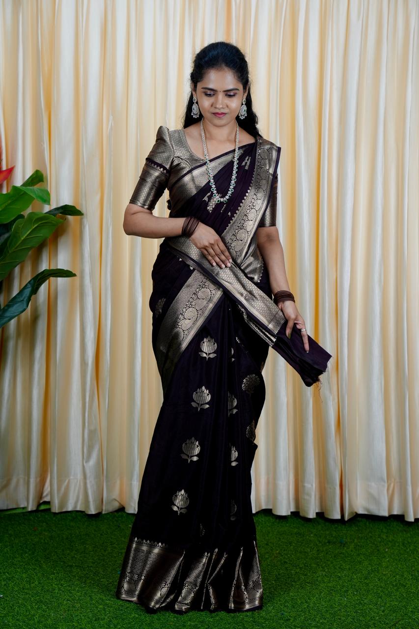 Premium warm silk sarees(deep choclate brown) no animal figure  🥳✅