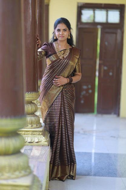 Sridevi inspired saree*(no animal figures) 🥳