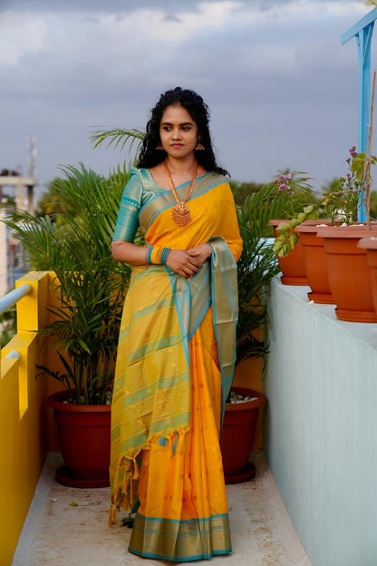 Kalyani soft silk👇