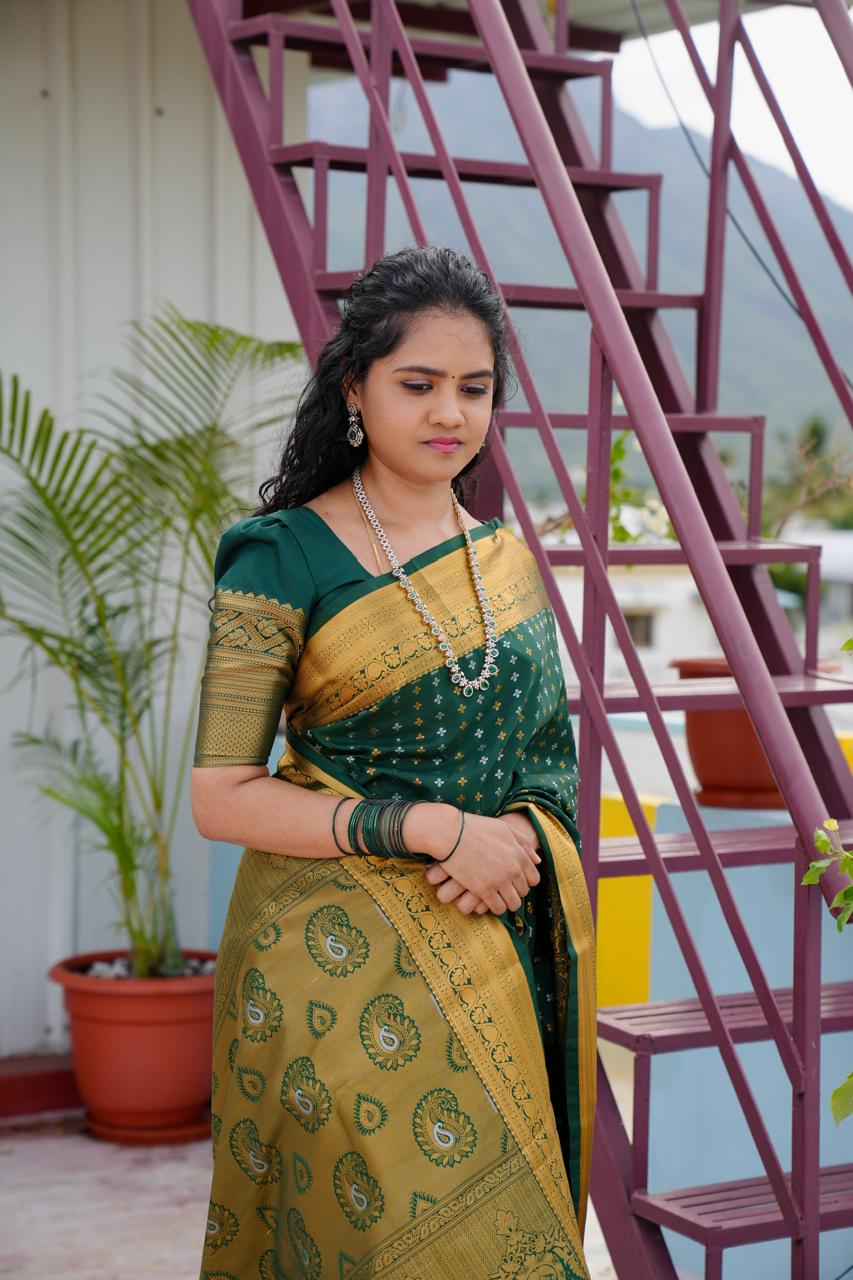 Sridevi inspired saree🍄
