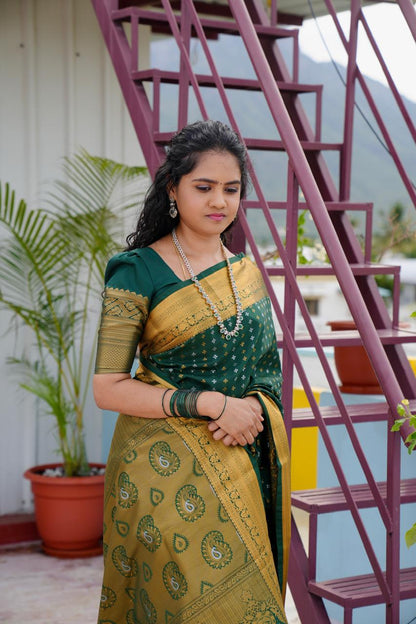 Sridevi inspired saree🍄