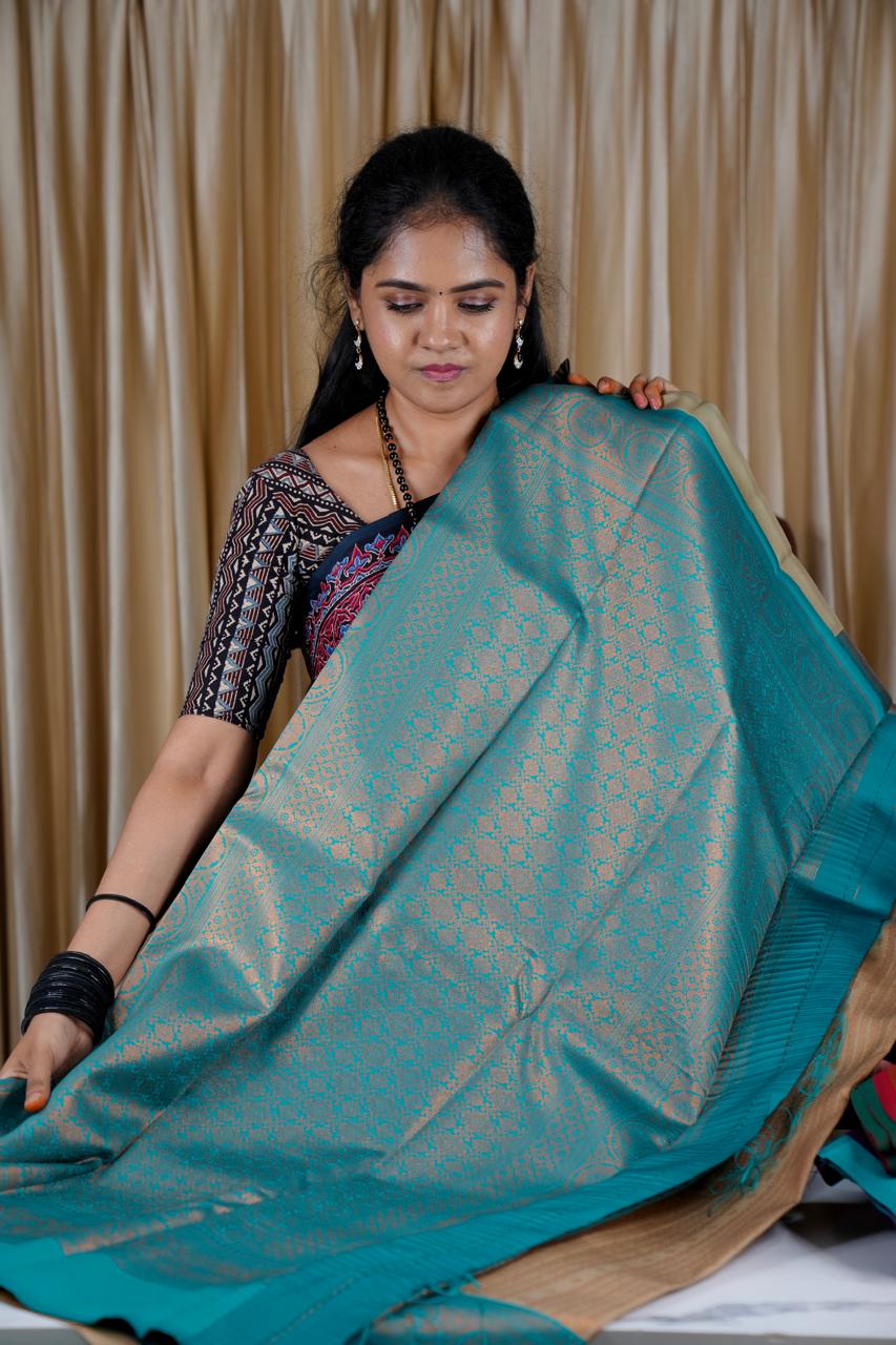 Soft Silk Saree 🥰