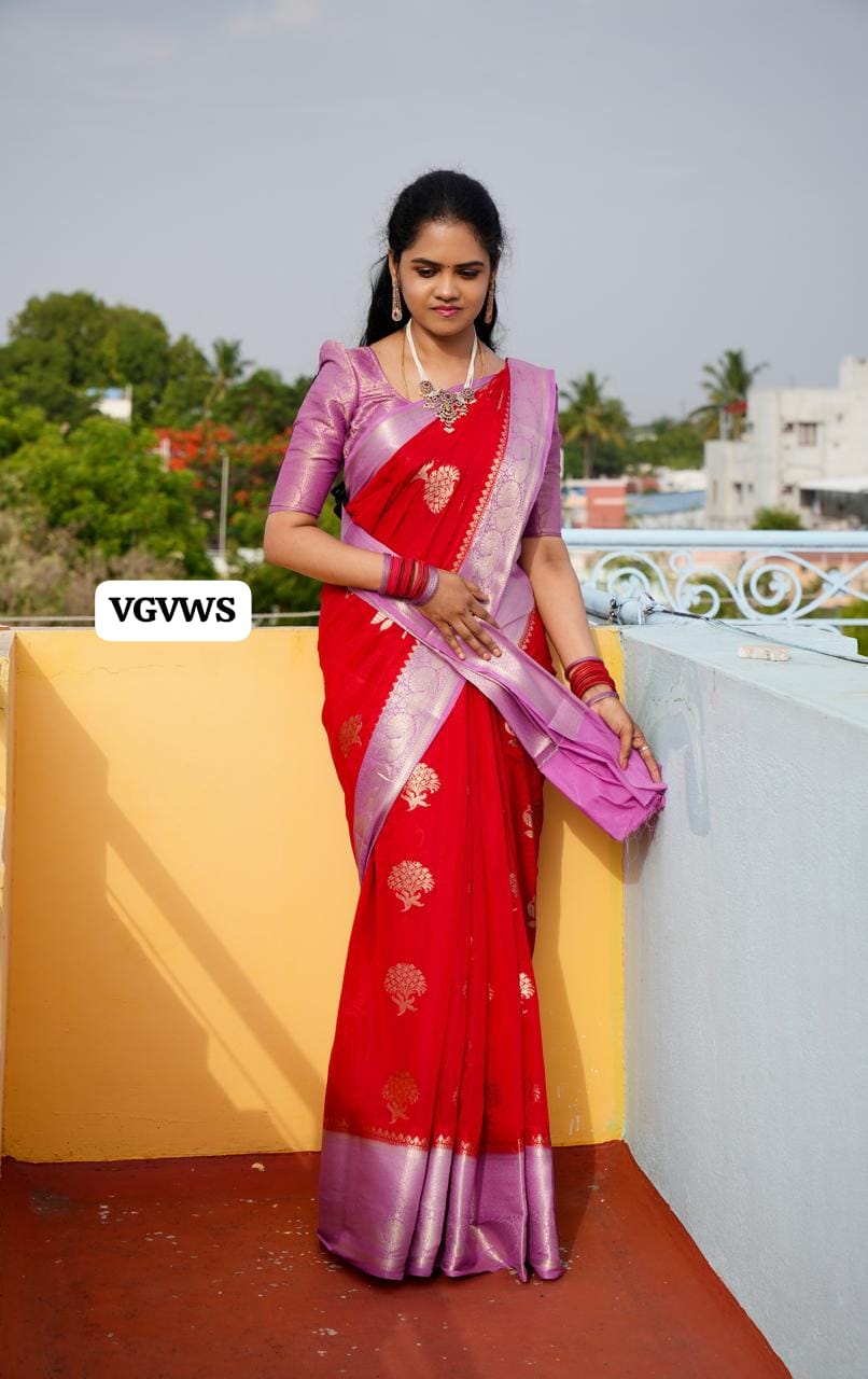 Premium Warm silk saree 🥰😎🥳
