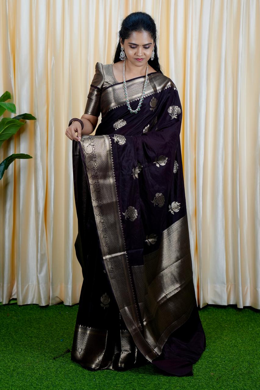 Premium warm silk sarees(deep choclate brown) no animal figure  🥳✅