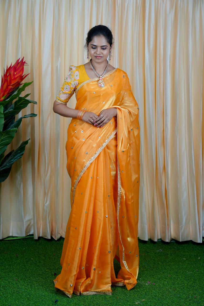 Jimmy Choo Saree with embroidery blouse🥳