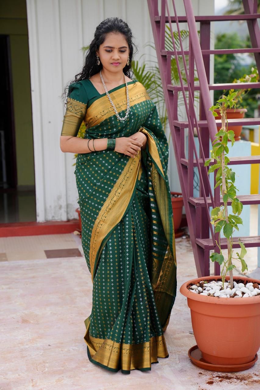 Sridevi inspired saree🍄