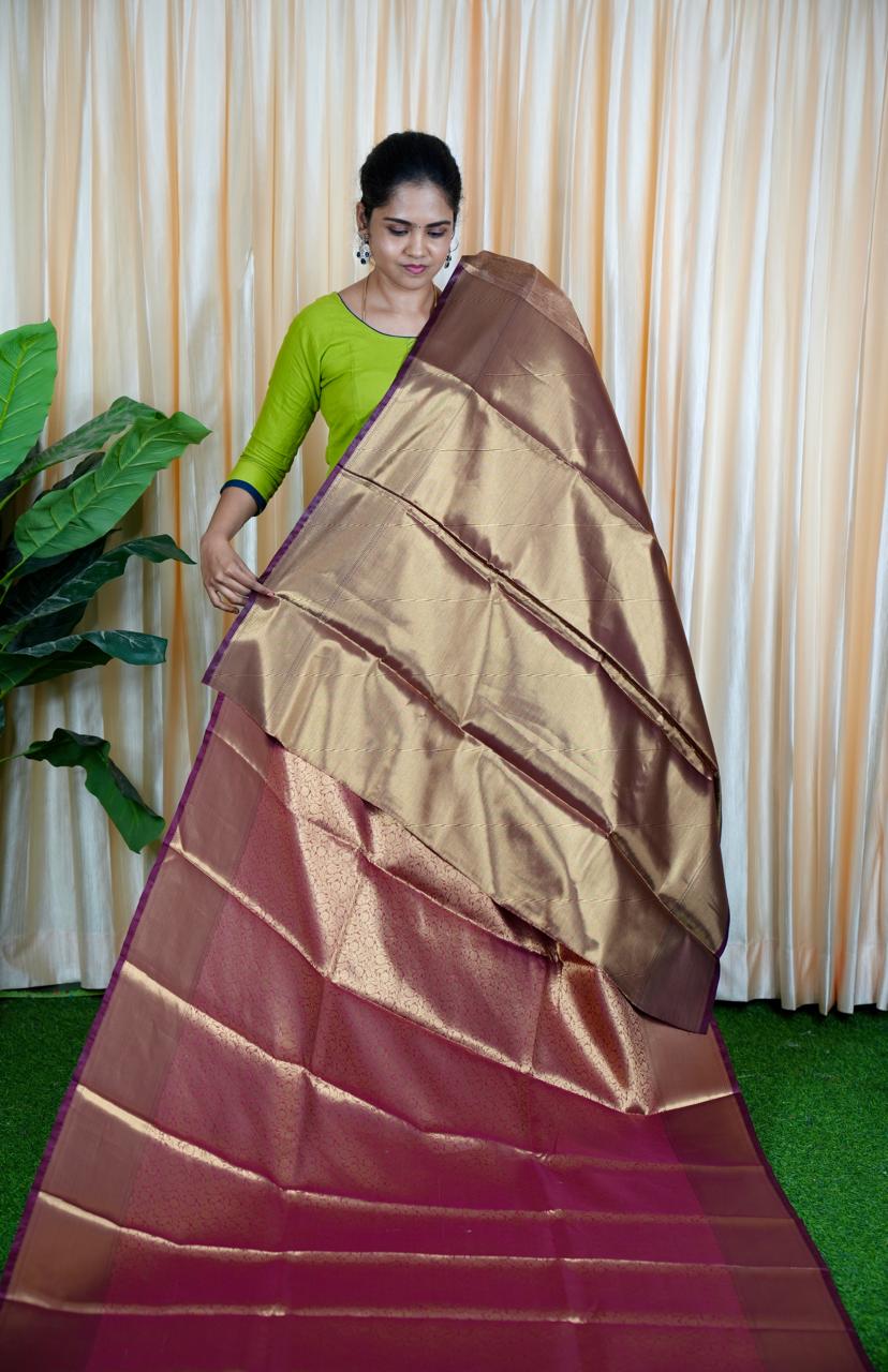 Organza Tissue Sarees 🥳
