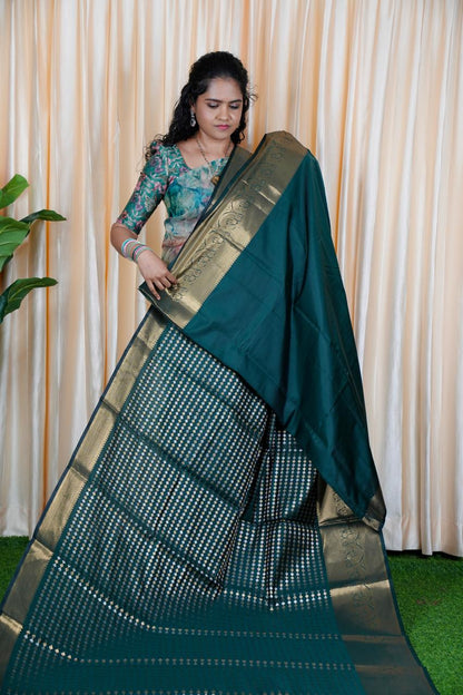 Sridevi inspired saree( no animal figure) 🥳