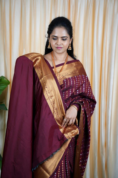 Premium Sridevi Inspired Saree (no animal figure ) 🍏🍄
