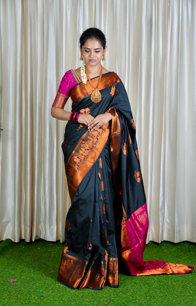 Pallakku sarees🥳