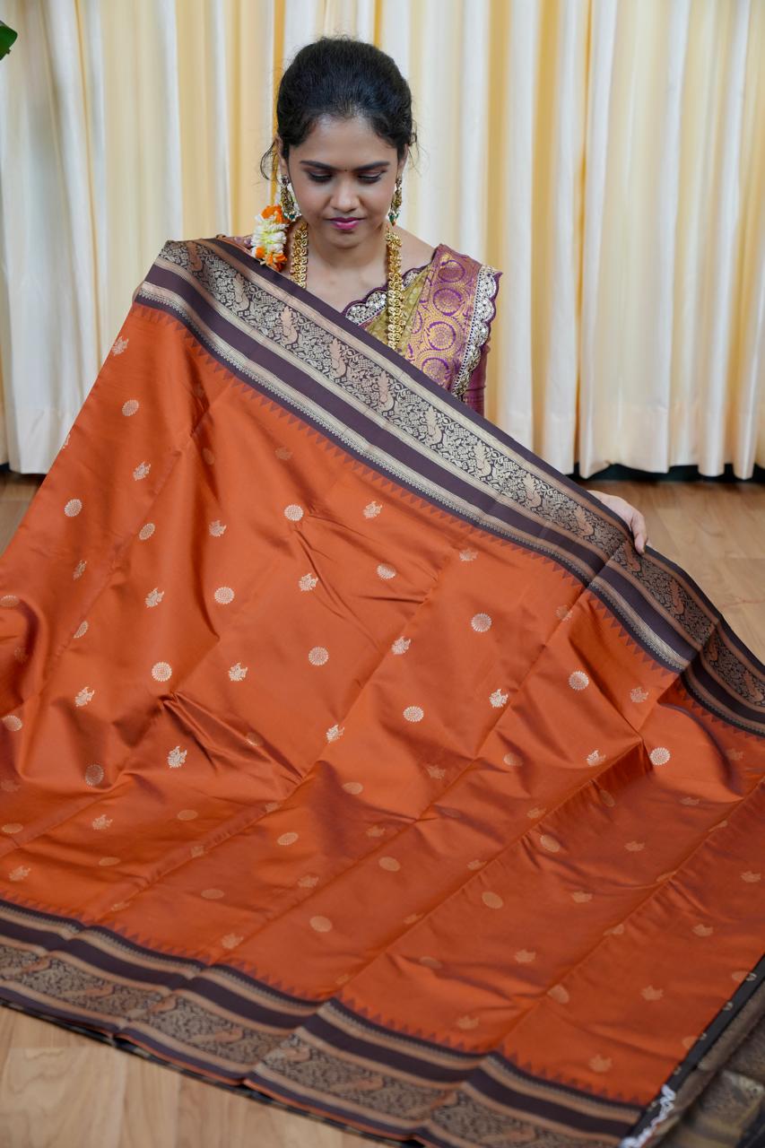 Gadwal semi silk saree🌈🥰😎📚