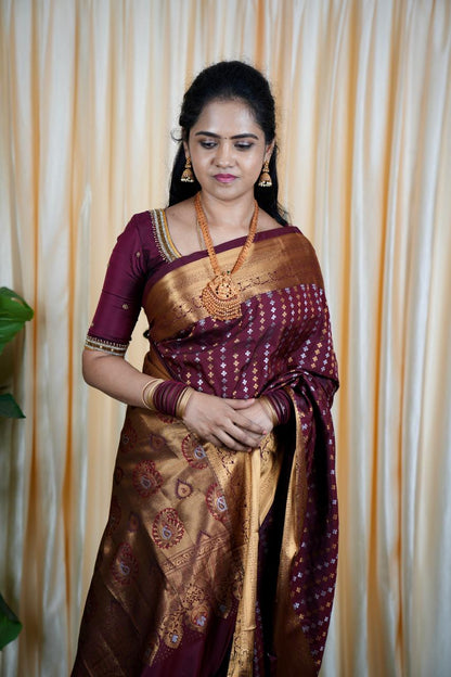 Premium Sridevi Inspired Saree (no animal figure ) 🍏🍄