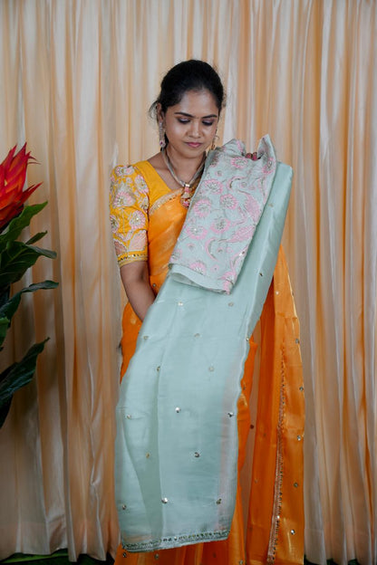 Jimmy Choo Saree with embroidery blouse🥳