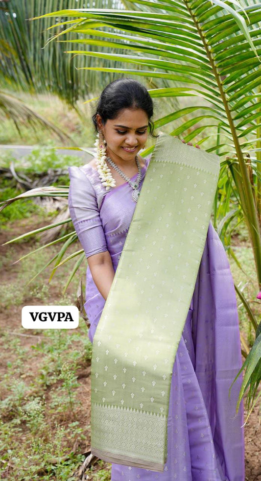 Soft Karan saree🥳