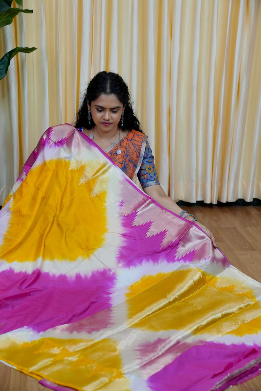 Warm Silk Saree 🎁